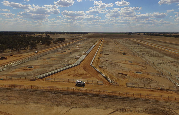 Conargo Feedlot